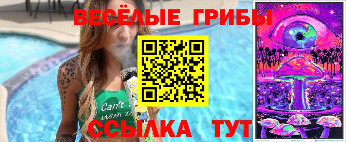 Галлюциногенные грибы ЛСД Ленинск-Кузнецкий